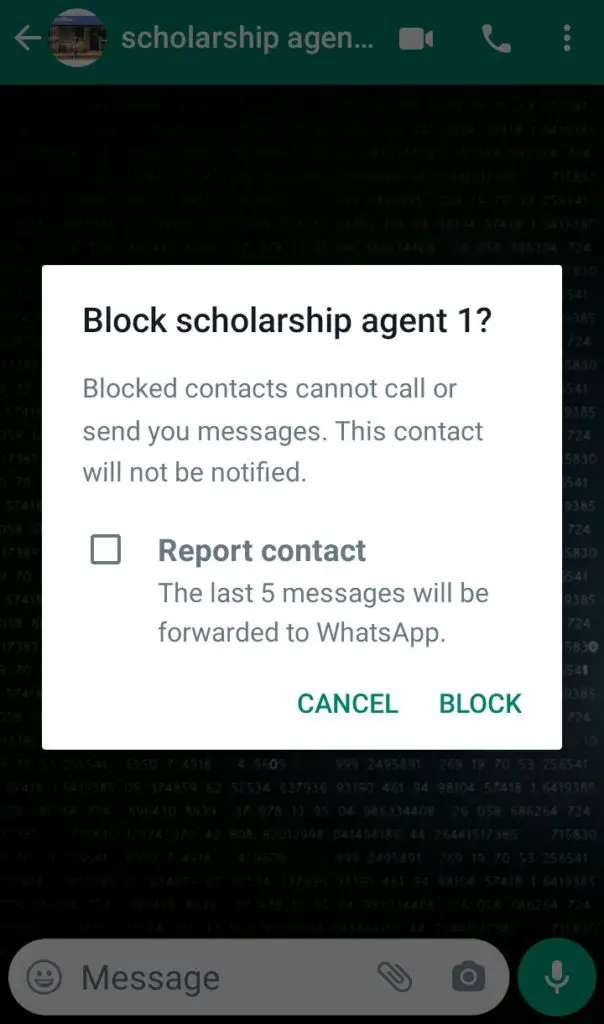 Blocking GB WhatsApp user
