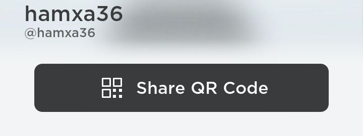 Roblox QR code profile link